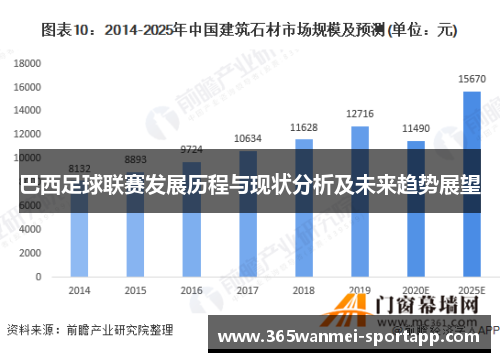 巴西足球联赛发展历程与现状分析及未来趋势展望